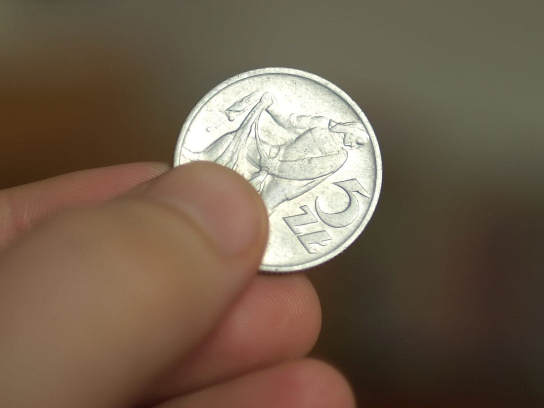 Polskie monety – Małe dzieła sztuki i praktyczny element w każdym domu